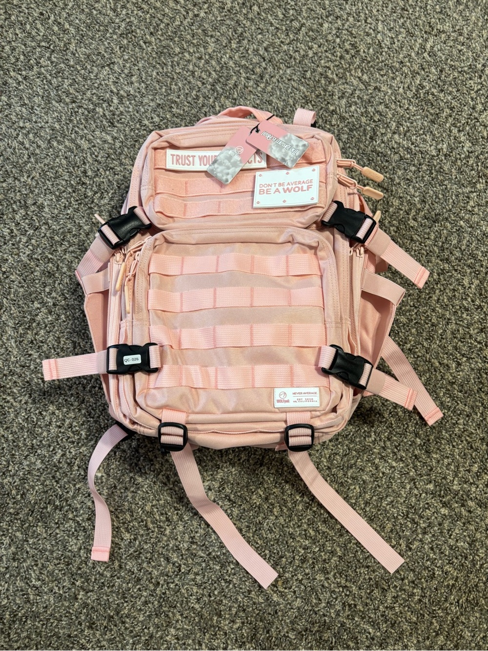 NWT Dream Pink Wolfpak 25L Bag - Sold Out Online